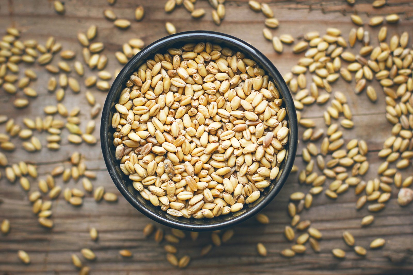 Wheat Grains in bowl and Wheat popcorn in bowl,Wheat Seed rustic